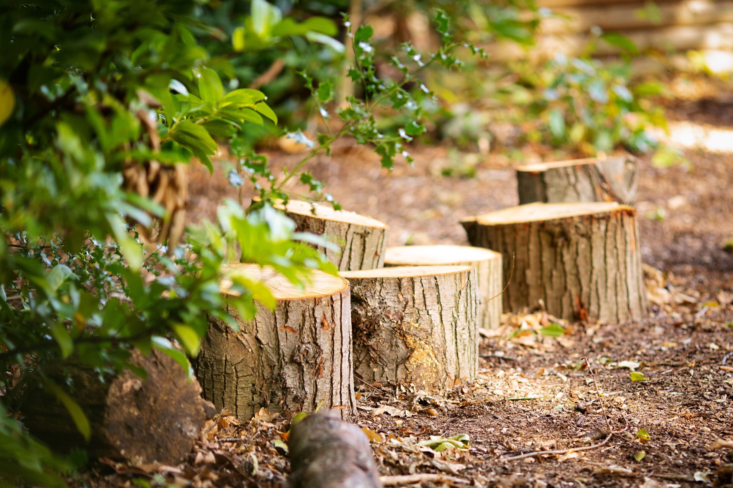 Log run resized